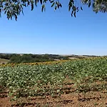 Le Clos Mirélie * Gaujac (Gers)