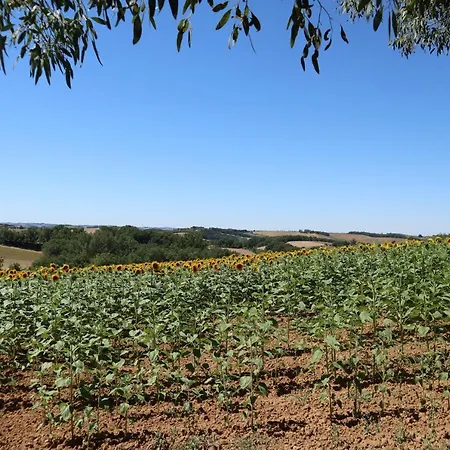 Le Clos Mirelie * Gaujac (Gers)