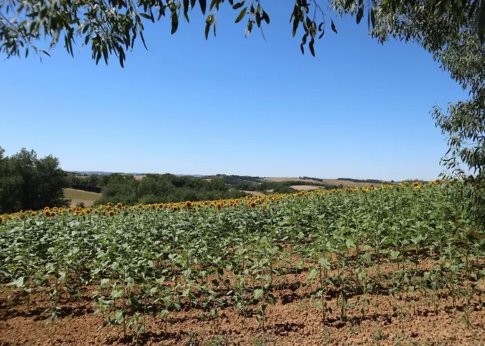 Le Clos Mirélie * Gaujac (Gers)